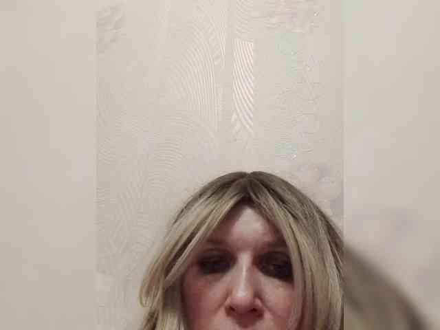 Kolibrii webcam