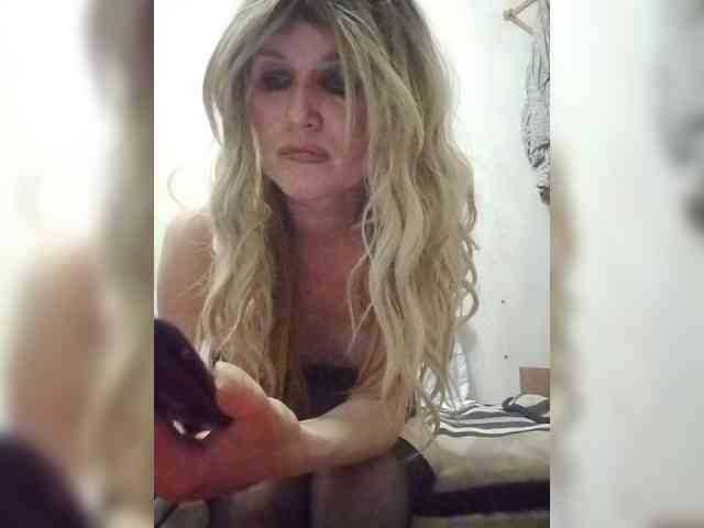 Kolibrii webcam