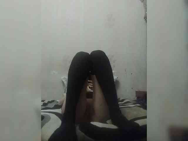 Kolibrii webcam