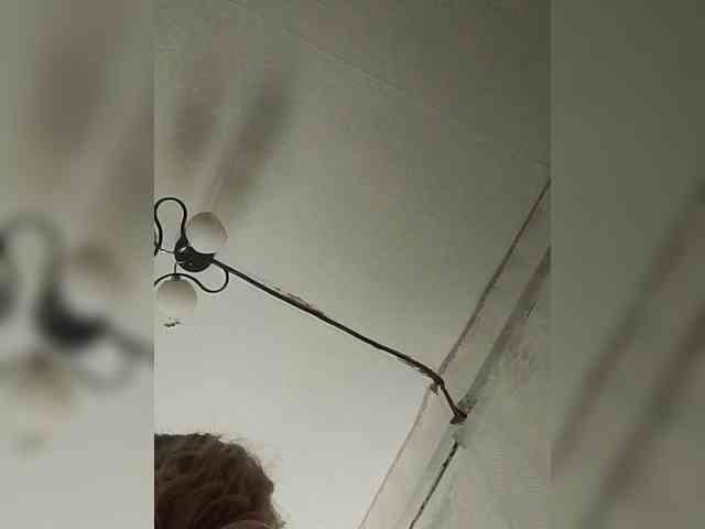 Kolibrii webcam