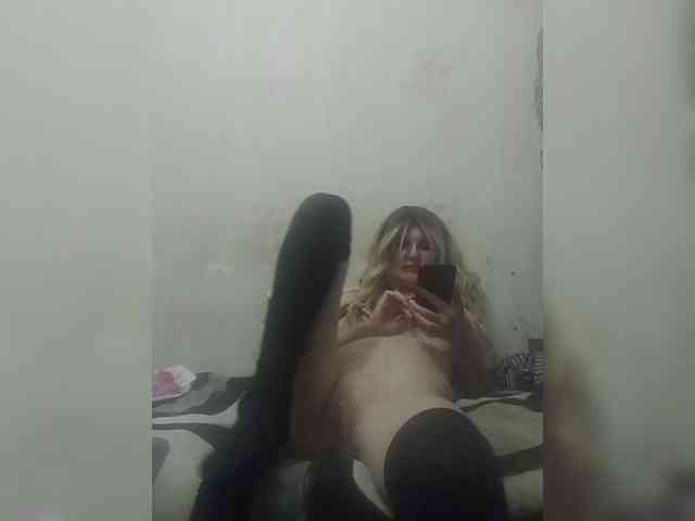 Kolibrii webcam