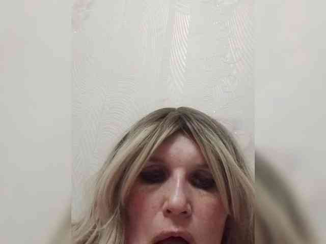 Kolibrii webcam