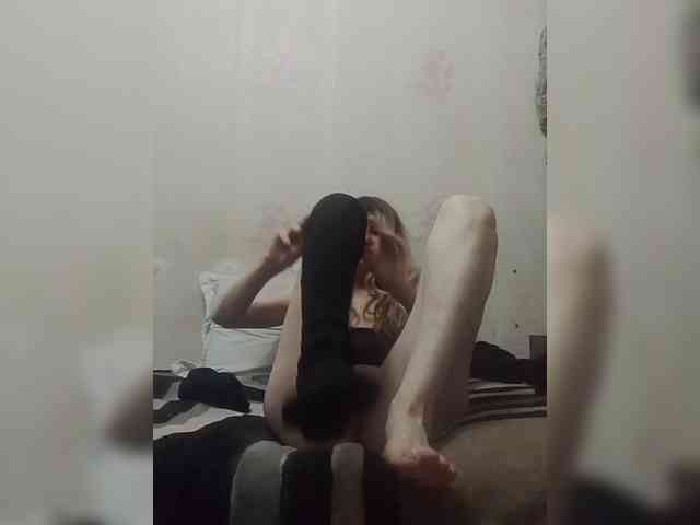 Kolibrii webcam
