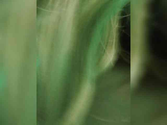 Kolibrii webcam