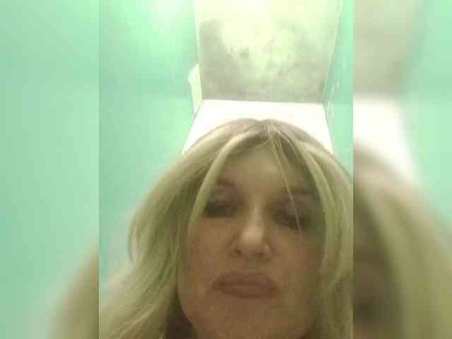 Kolibrii webcam