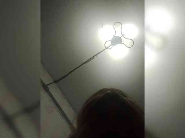 Kolibrii webcam