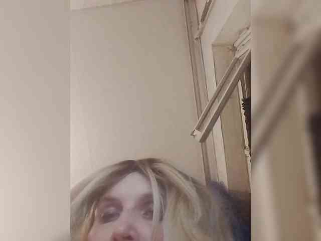 Kolibrii webcam