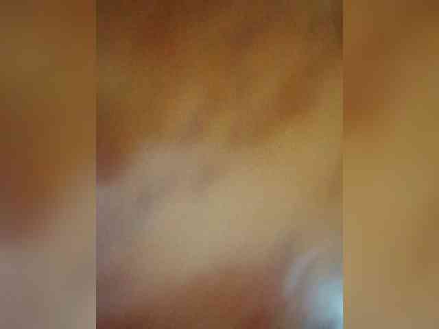 Kolibrii webcam