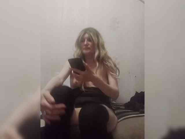 Kolibrii webcam