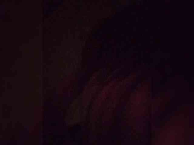 Kolibrii webcam