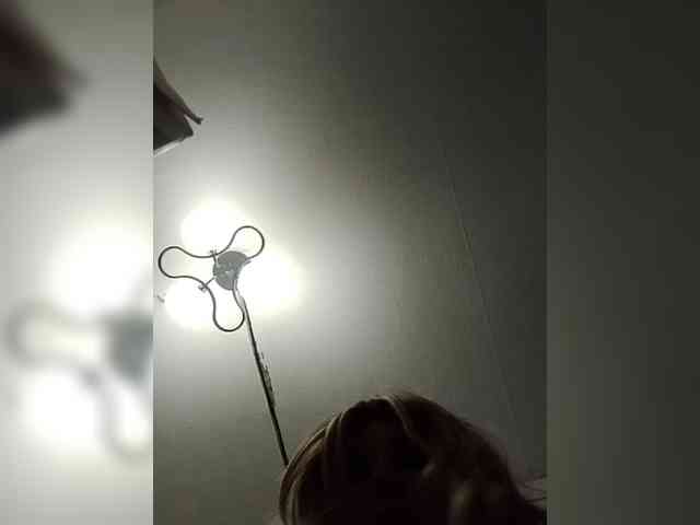 Kolibrii webcam