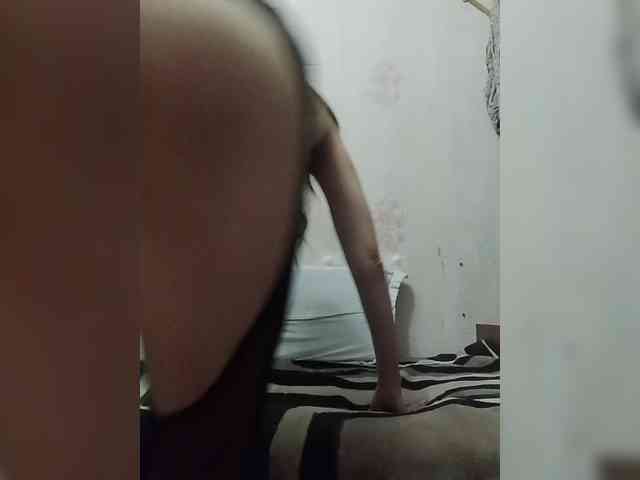 Kolibrii webcam