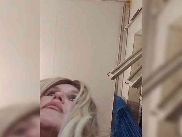 Kolibrii webcam
