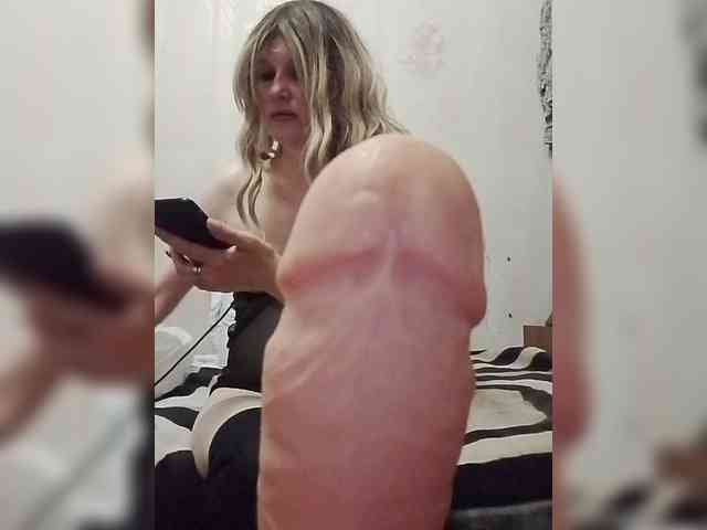 Kolibrii webcam