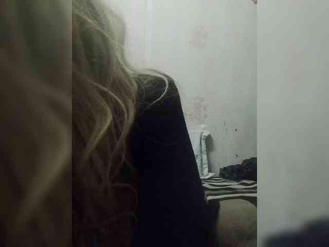 Kolibrii webcam
