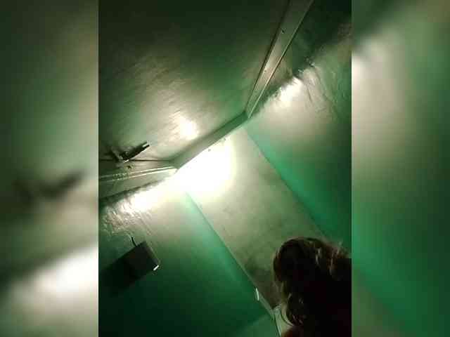 Kolibrii webcam