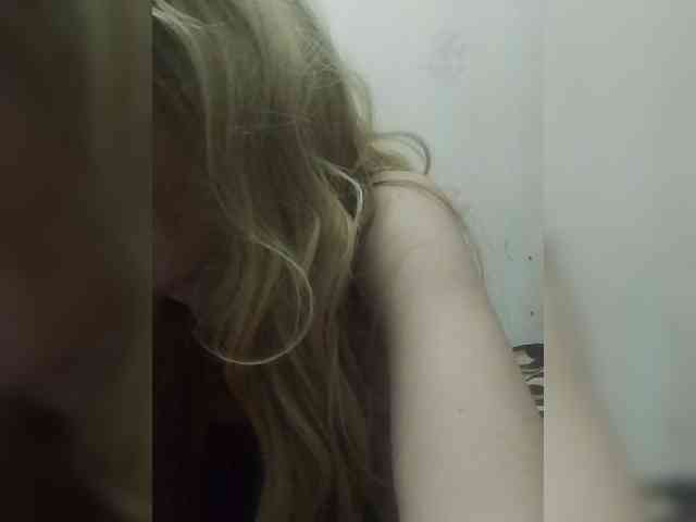 Kolibrii webcam