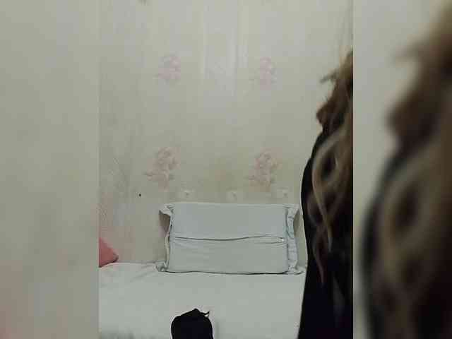 Kolibrii webcam
