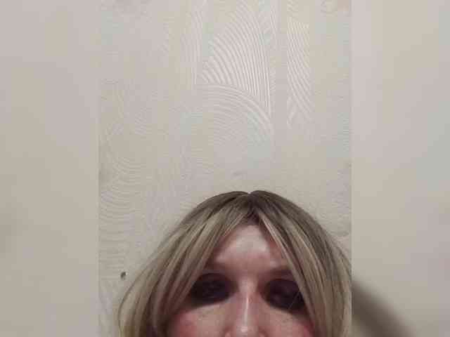 Kolibrii webcam