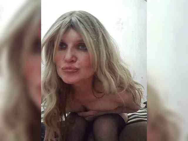 Kolibrii webcam