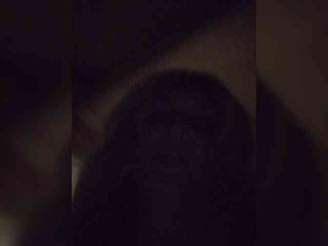 Kolibrii webcam