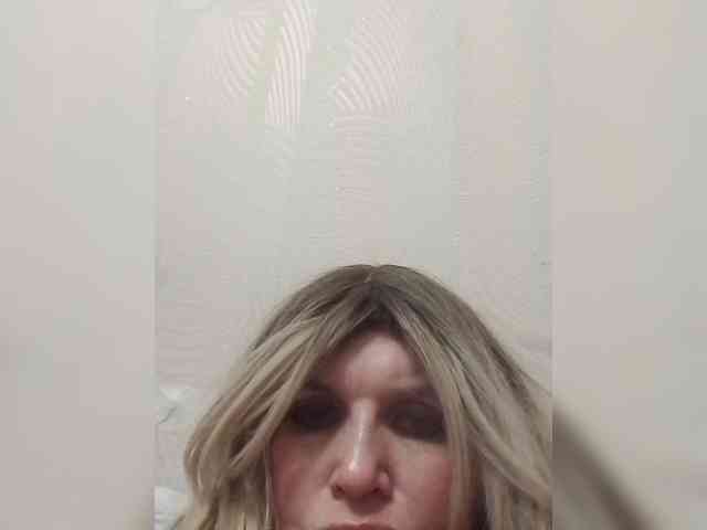 Kolibrii webcam