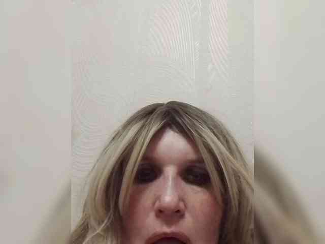Kolibrii webcam