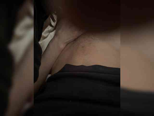 Hummelbummel1