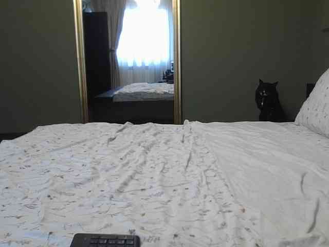 Ellasweety webcam