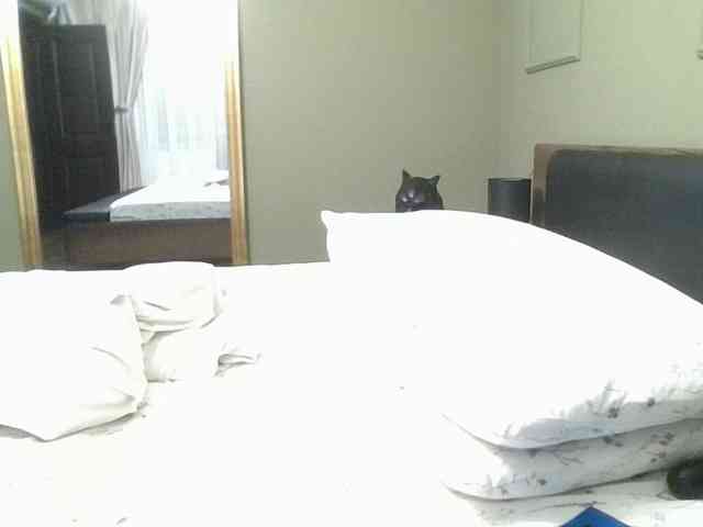 Ellasweety webcam