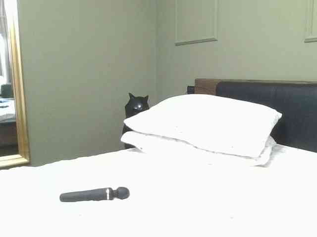 Ellasweety webcam
