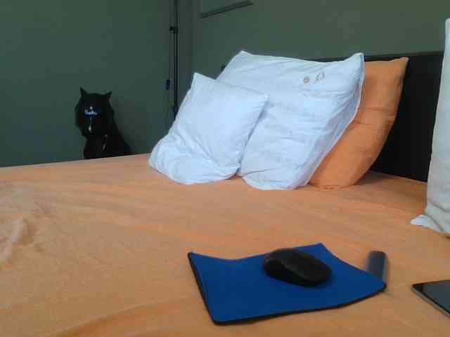 Ellasweety webcam