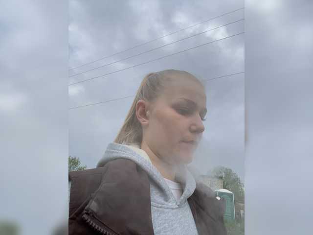 go to chat with Mollify-1594444