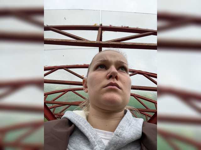go to chat with Mollify-1594444