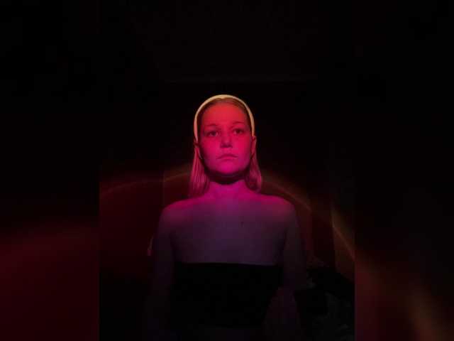 Mollify-1594444