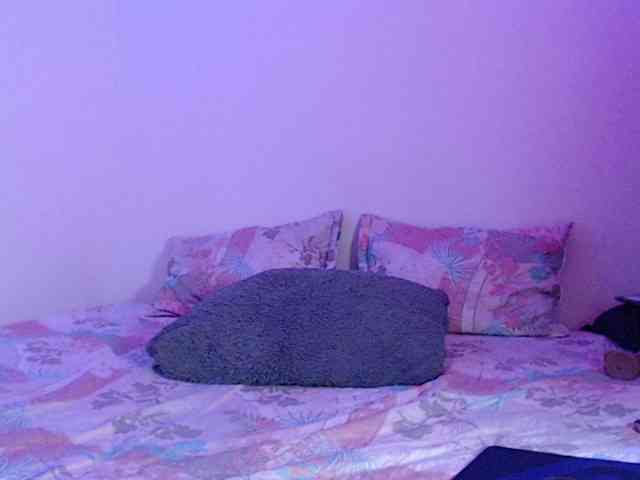 Cami-Arias webcam