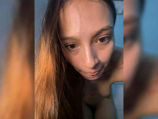 Modelo: Cami-osl