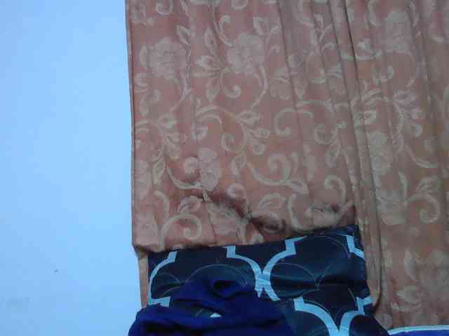 sexyebonita1 webcam
