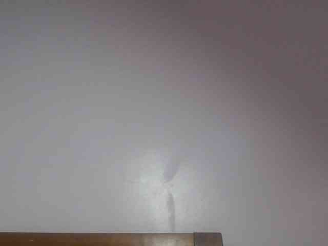 SweetAriah webcam