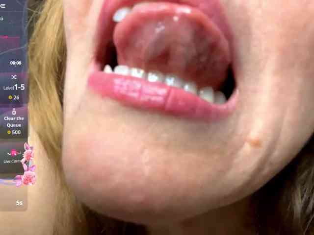 Lizacamsa webcam