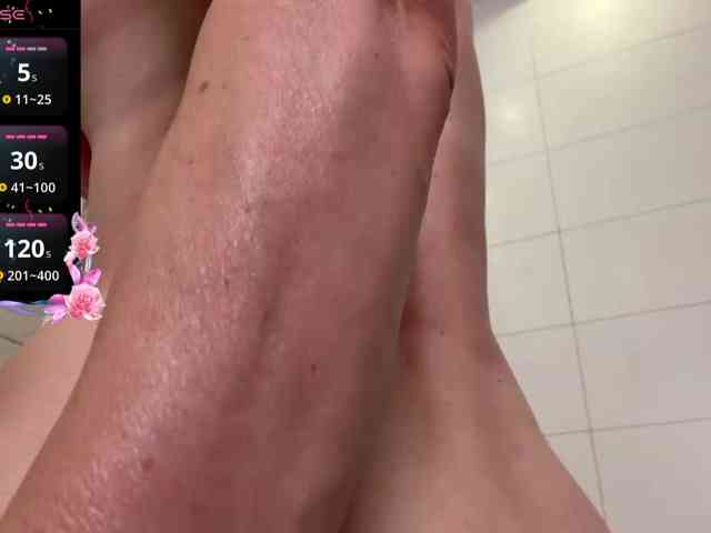 Lizacamsa webcam