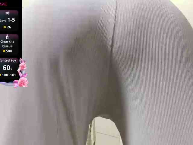 Lizacamsa webcam