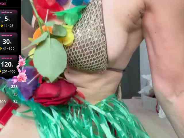 Lizacamsa webcam