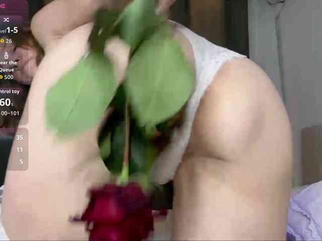 Lizacamsa webcam