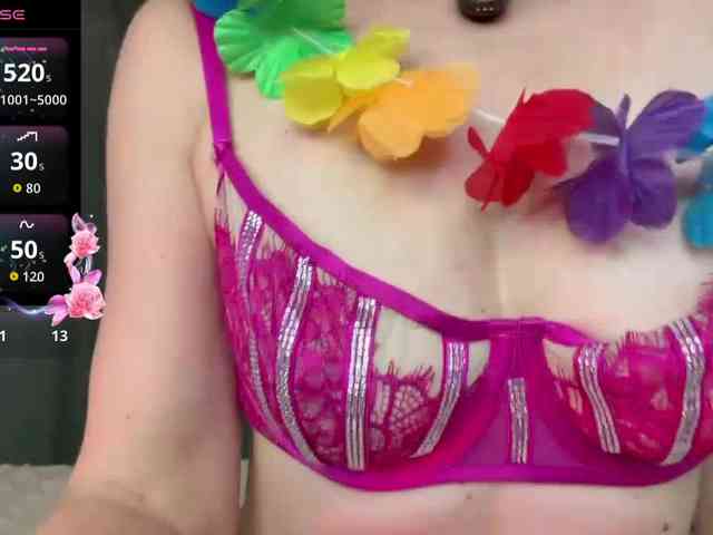 Lizacamsa webcam