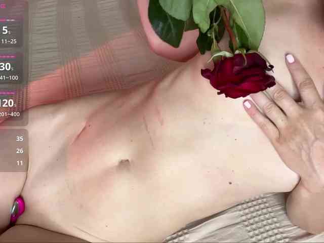 Lizacamsa webcam
