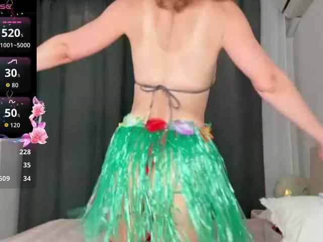 Lizacamsa webcam