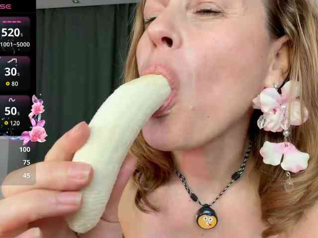 Lizacamsa webcam