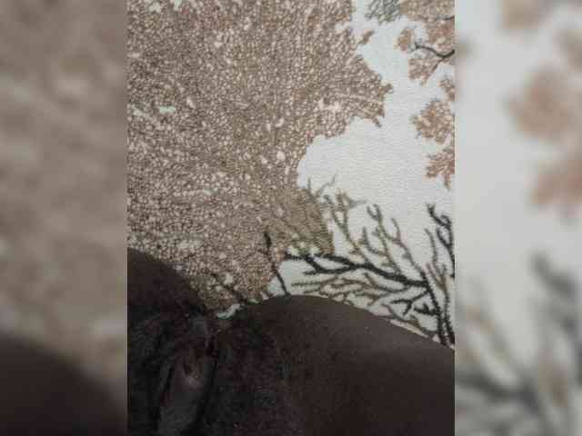 Hyvine22 webcam