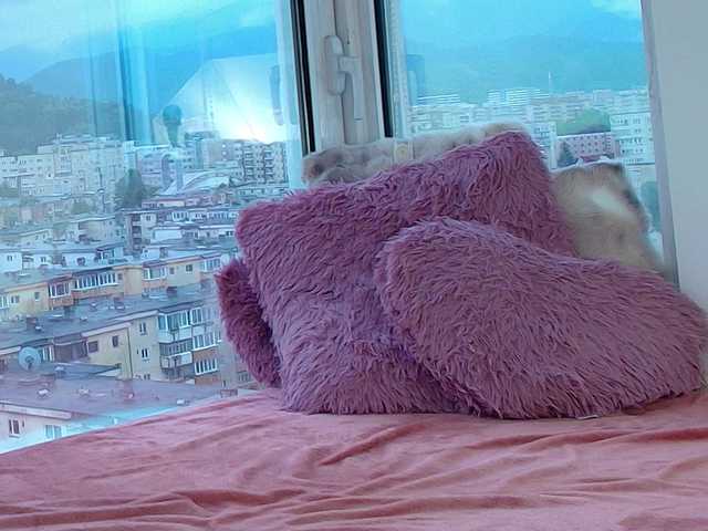 CrystalDomme live cam on BongaCams